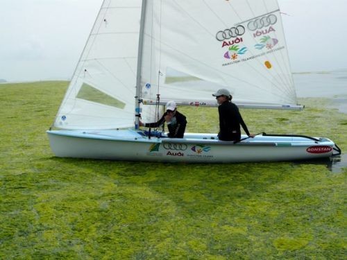 Sailing on greener pastures - 2008 Training Camp Qingdao China June 2008 © Australian Sailing Team http://www.australiansailingteam.com.au